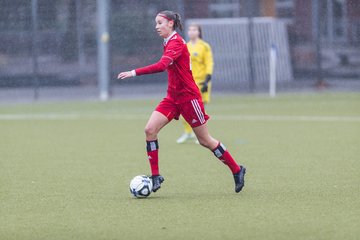 Bild 189 - wBJ Alstertal-Langenhorn - Hamburger SV : Ergebnis: 0:3